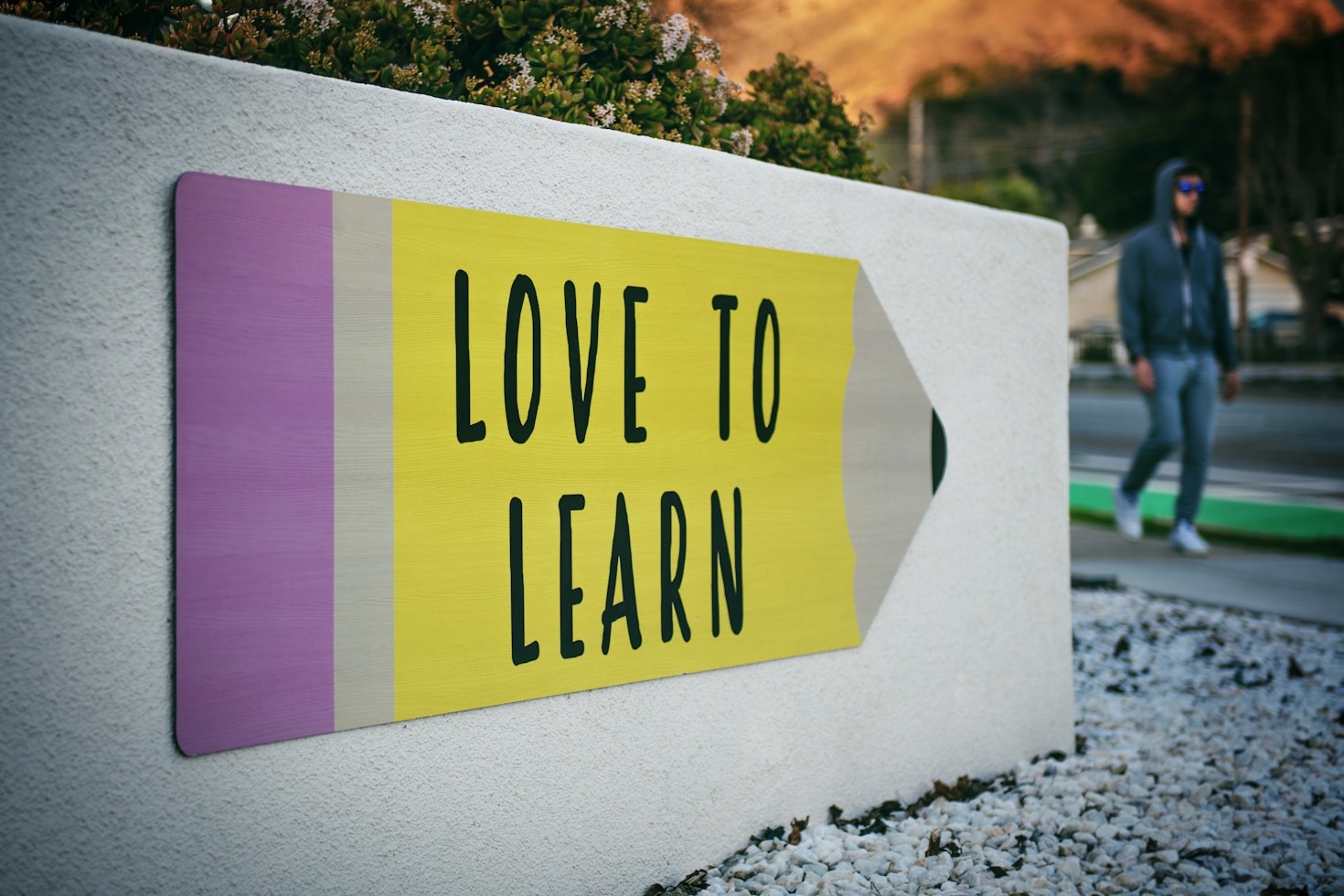 Top Beginner-Friendly Subjects to Explore