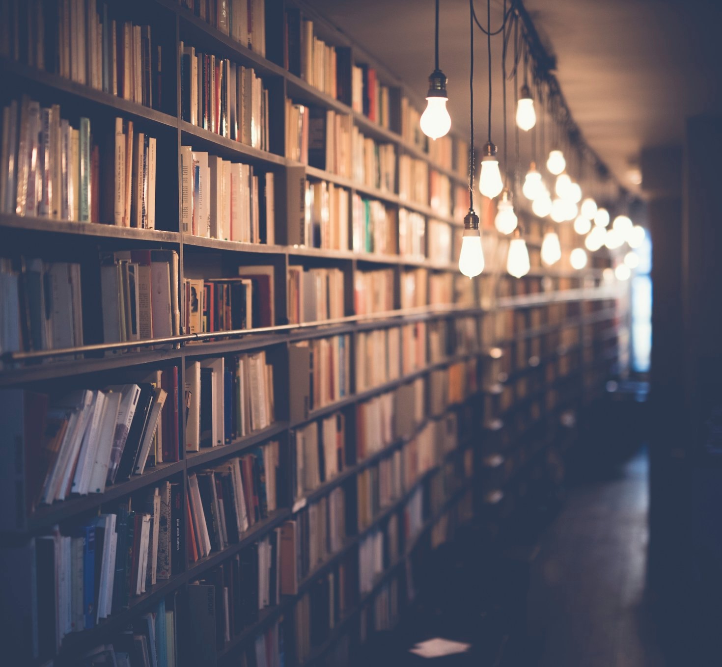Discovering New Passions with Beginner Lessons